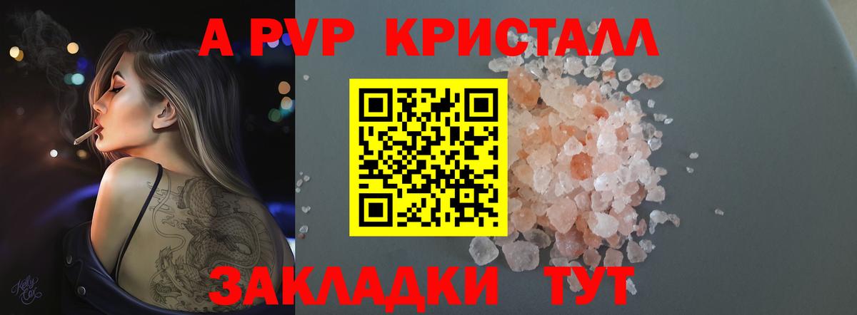Альфа ПВП СК Новошахтинск