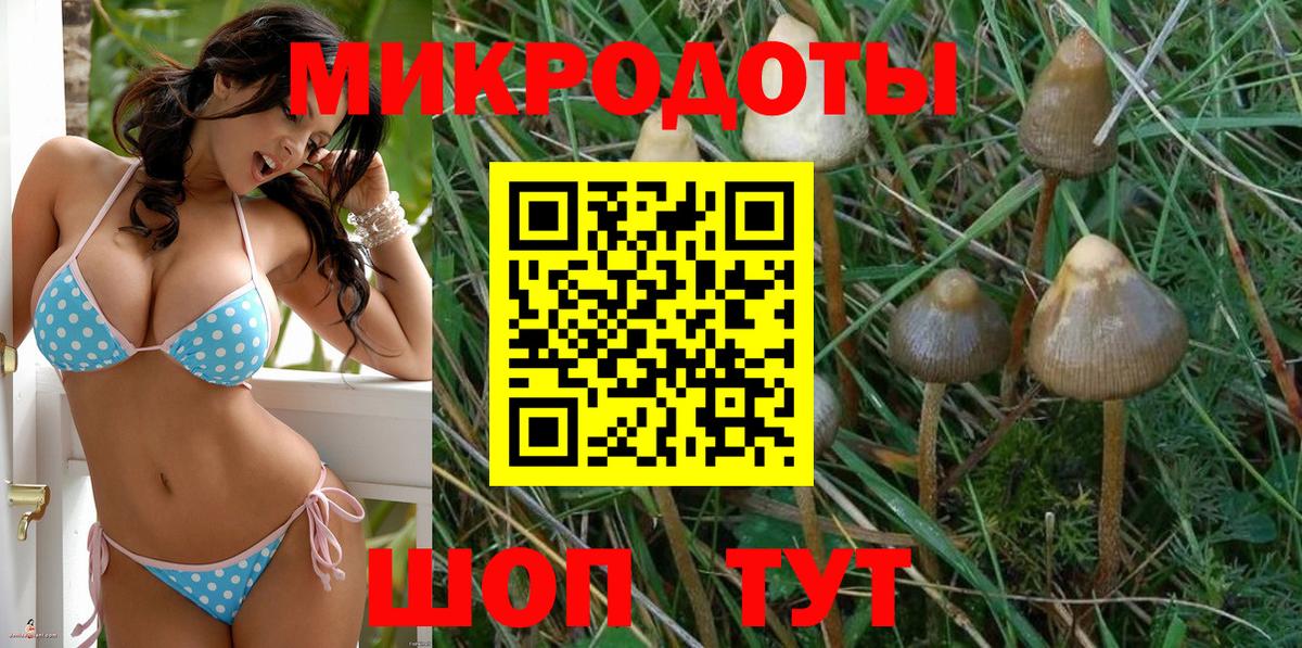 Новошахтинск  Галлюциногенные грибы мухоморы  Вход с VPN 